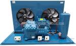 Компрессорно-конденсаторный агрегат Frascold BlueLine BL - S10-52Y